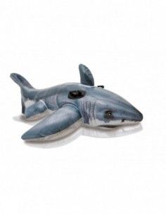 Grand Requin Blanc à...