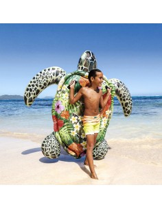 Tortue Aloha à chevaucher 2